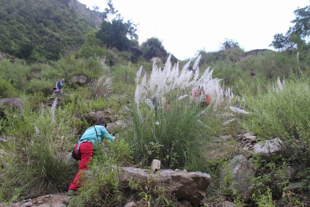 ������С IMG_0864.JPG