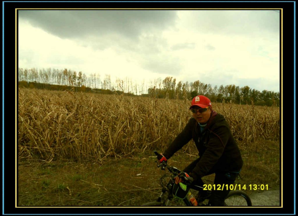 SDC12945.jpg