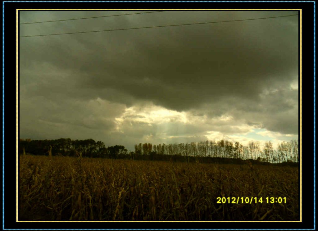 SDC12946.jpg