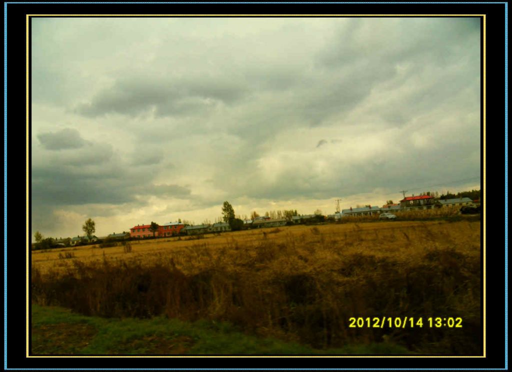 SDC12949.jpg