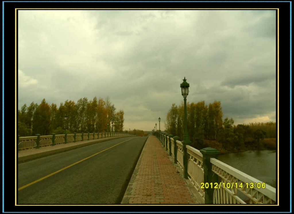 SDC12964.jpg
