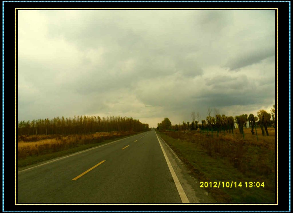 SDC12954.jpg