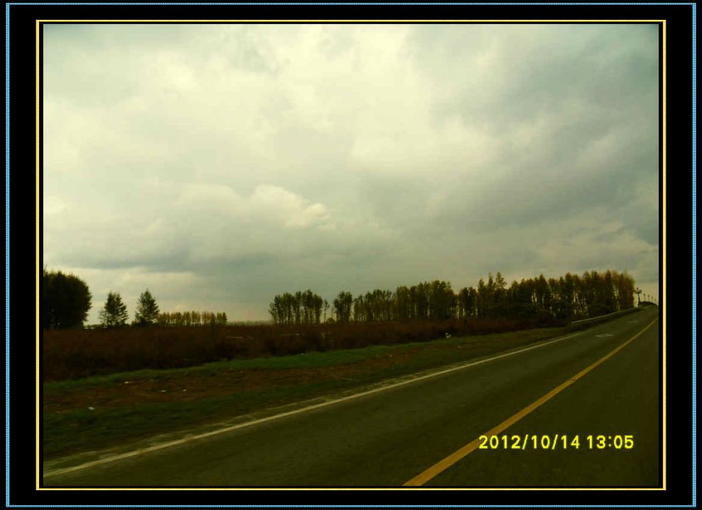 SDC12958.jpg
