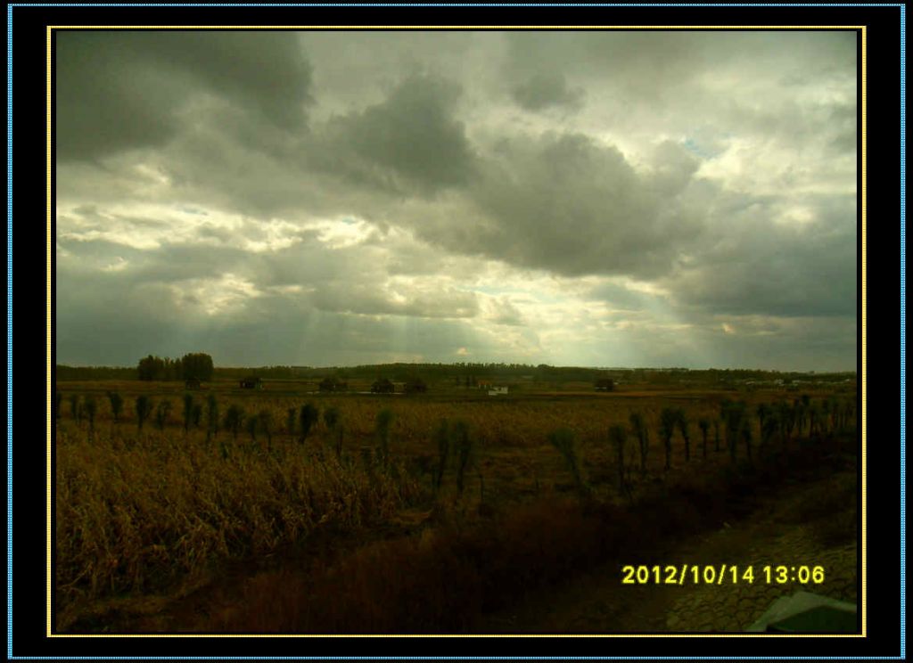 SDC12959.jpg