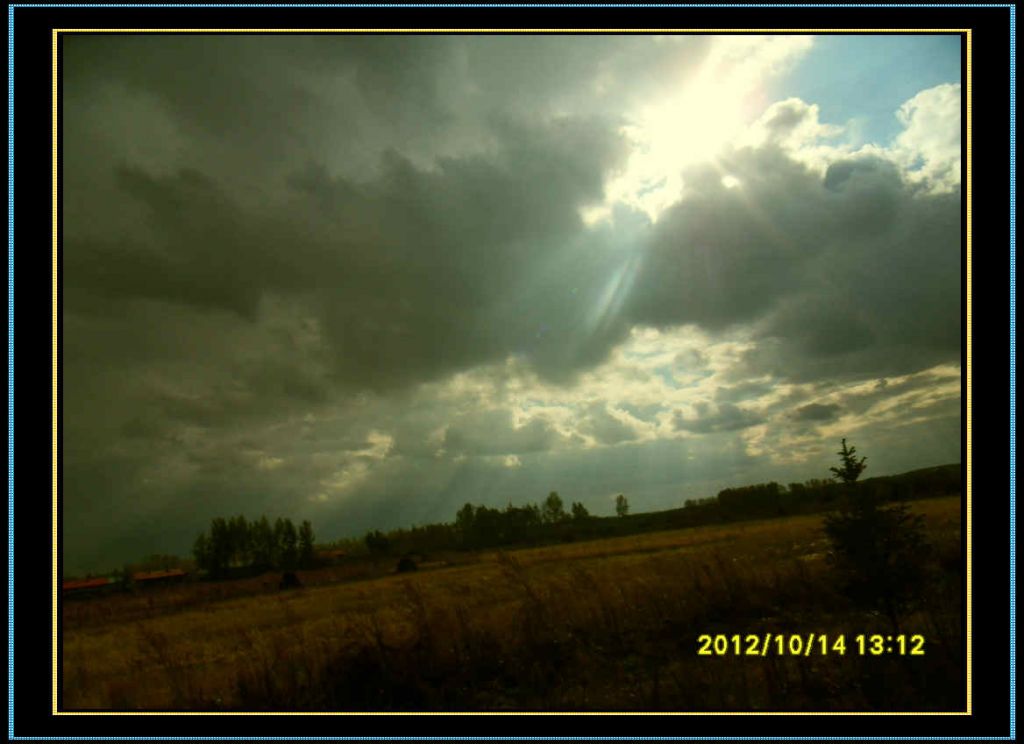 SDC12976.jpg