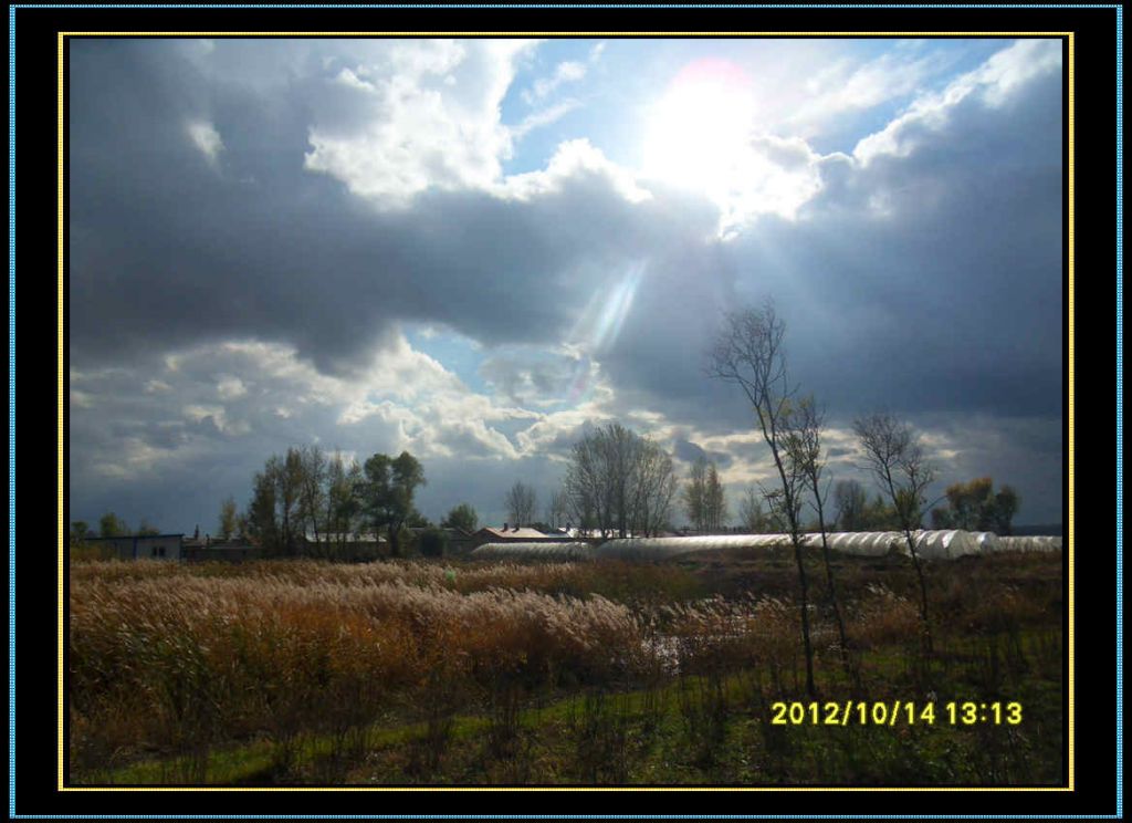 SDC13002.jpg