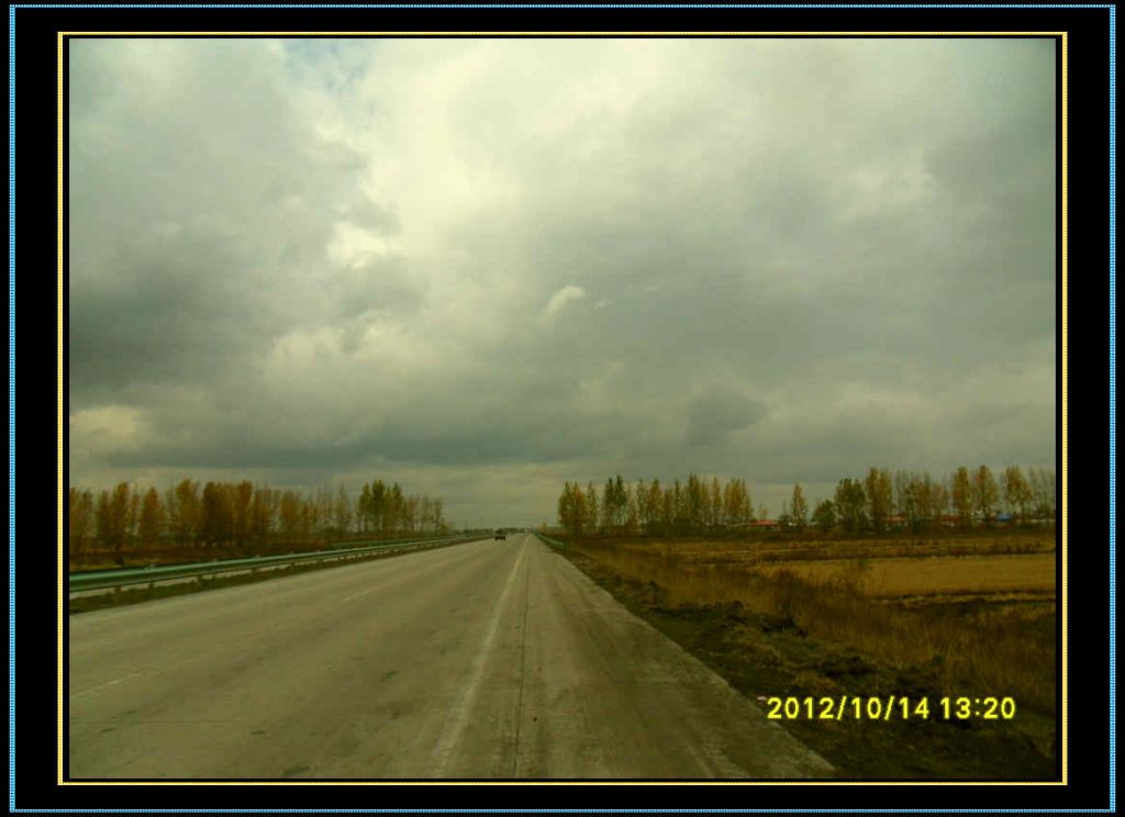 SDC13021.jpg