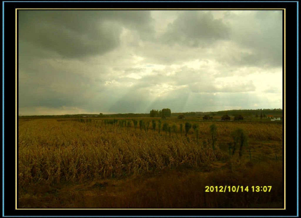 SDC12967.jpg