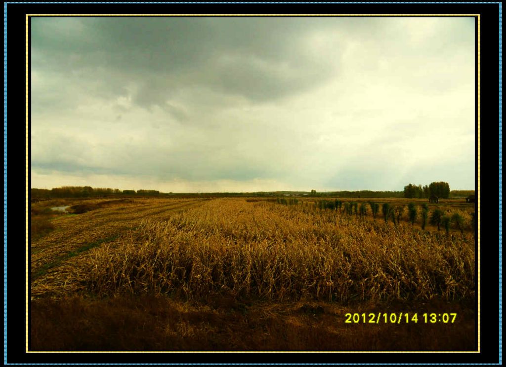 SDC12968.jpg