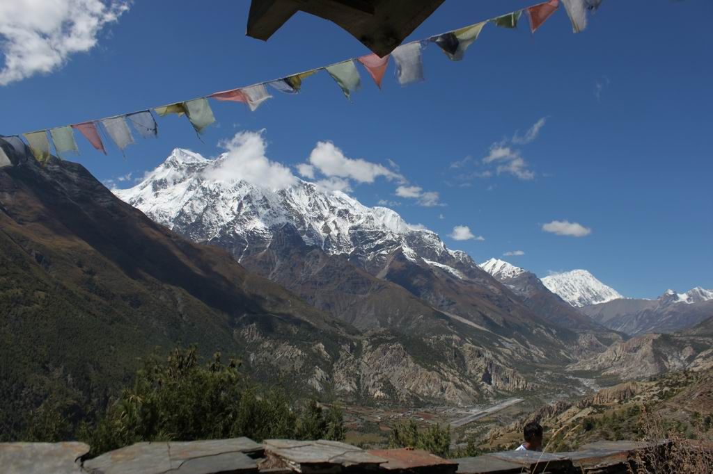 ������С IMG_2433.JPG