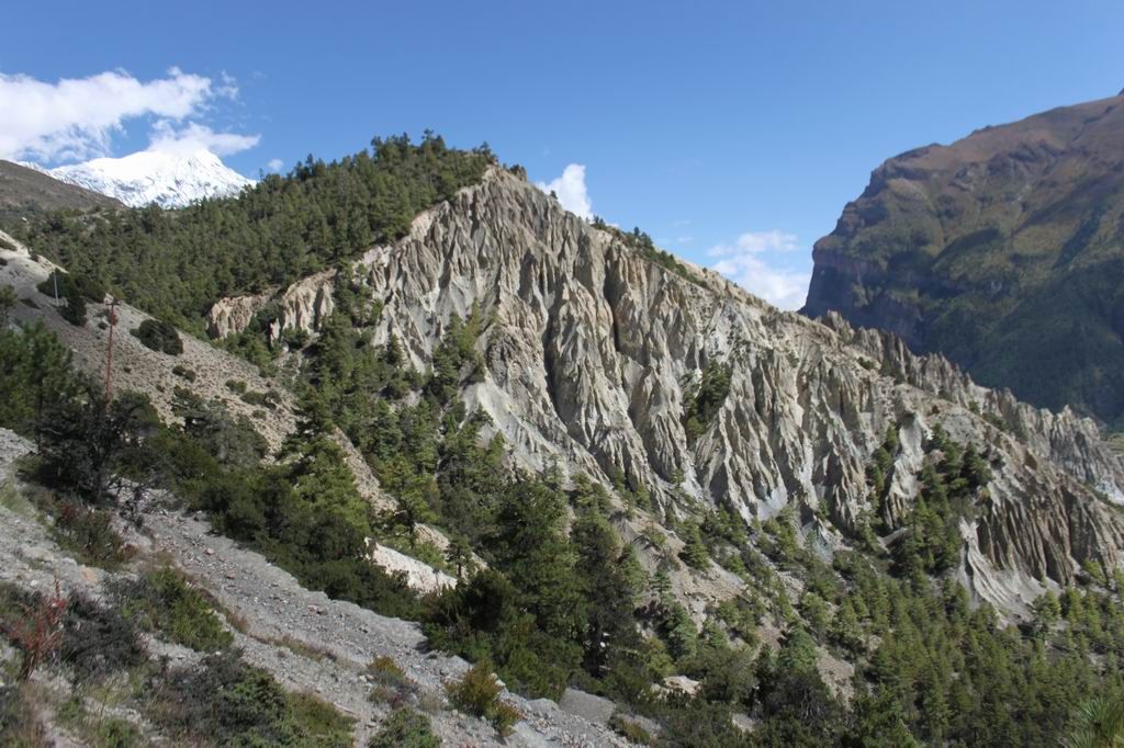 ������С IMG_2481.JPG