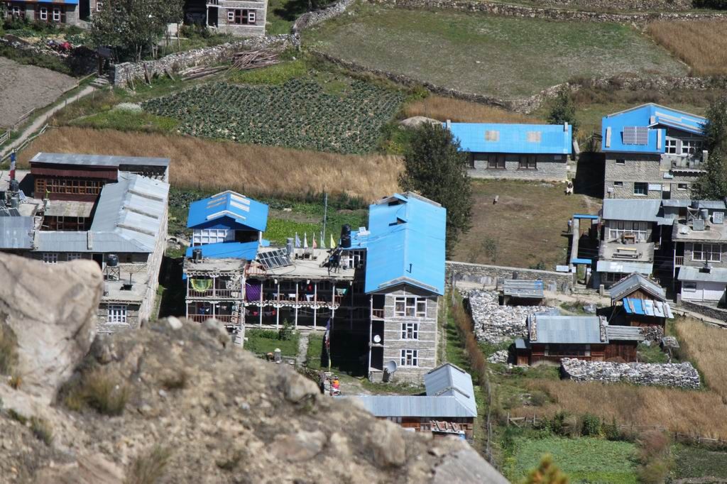 ������С IMG_2628.JPG