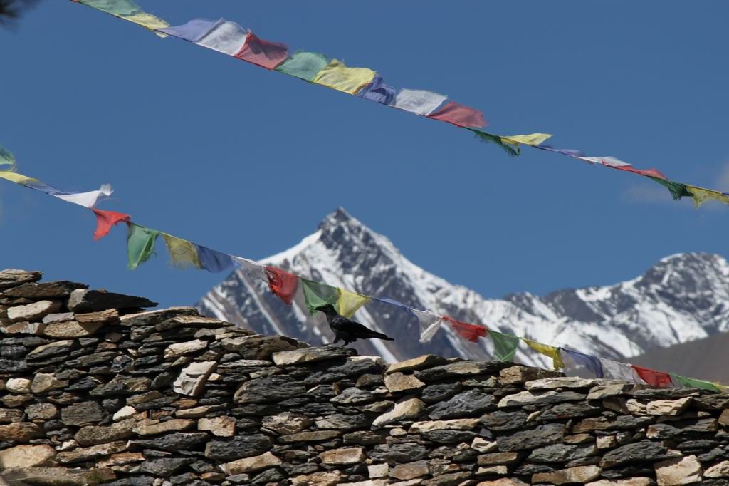 ������С IMG_2692.JPG