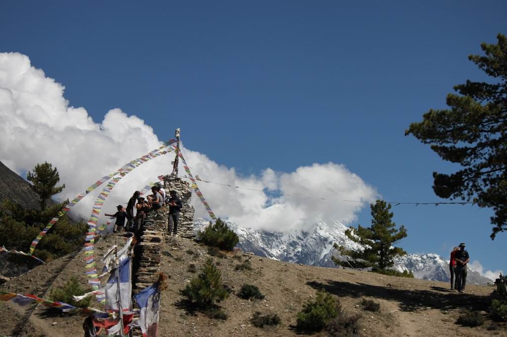 ������С IMG_2705.JPG