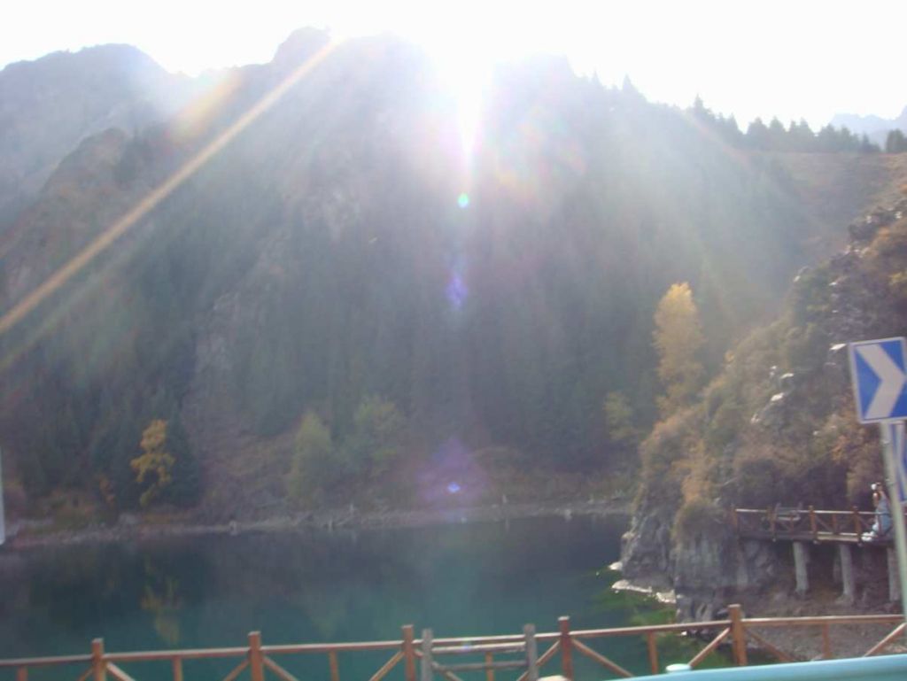 DSC02684.jpg