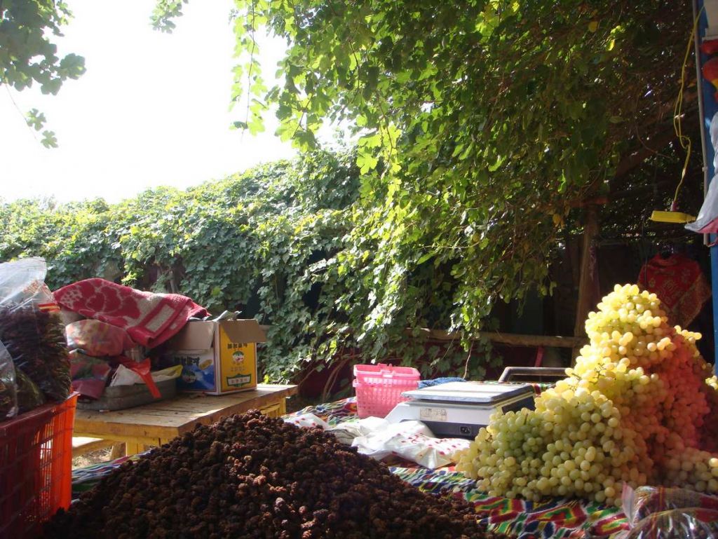DSC02789.jpg