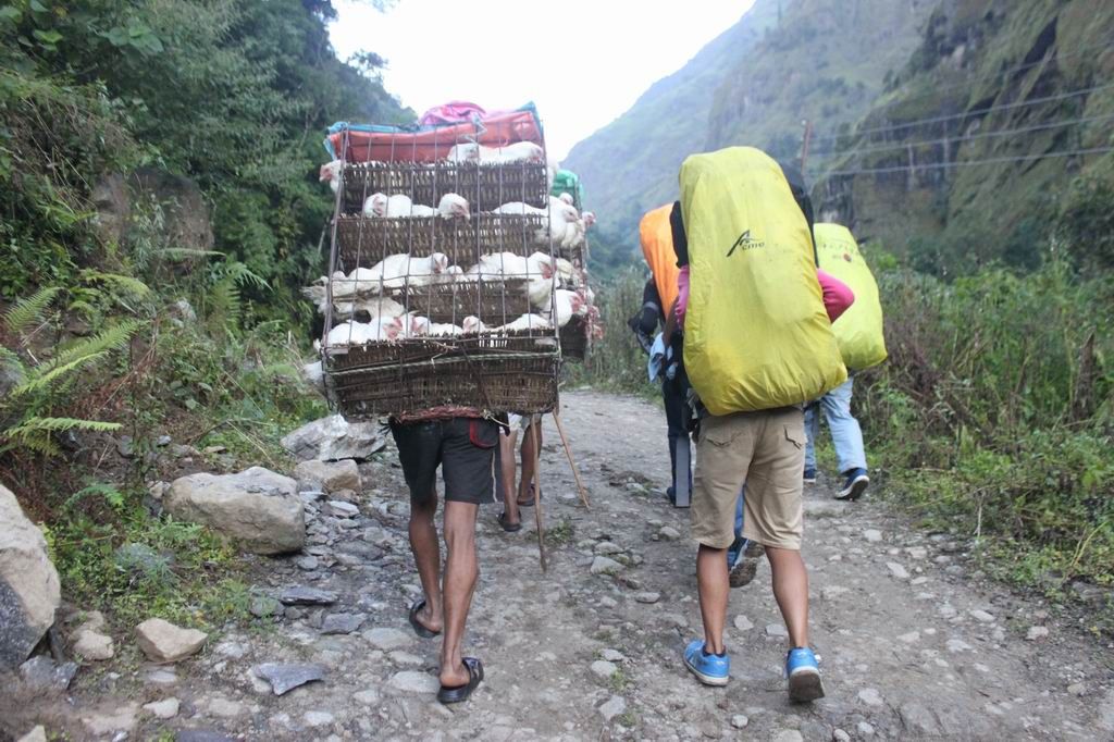 ������С IMG_0974.JPG