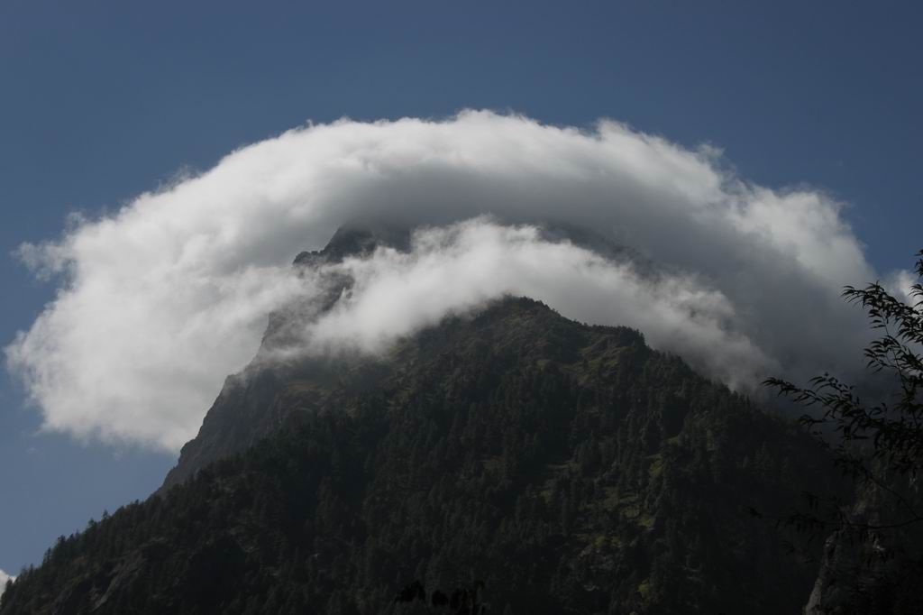 ������С IMG_1639.JPG