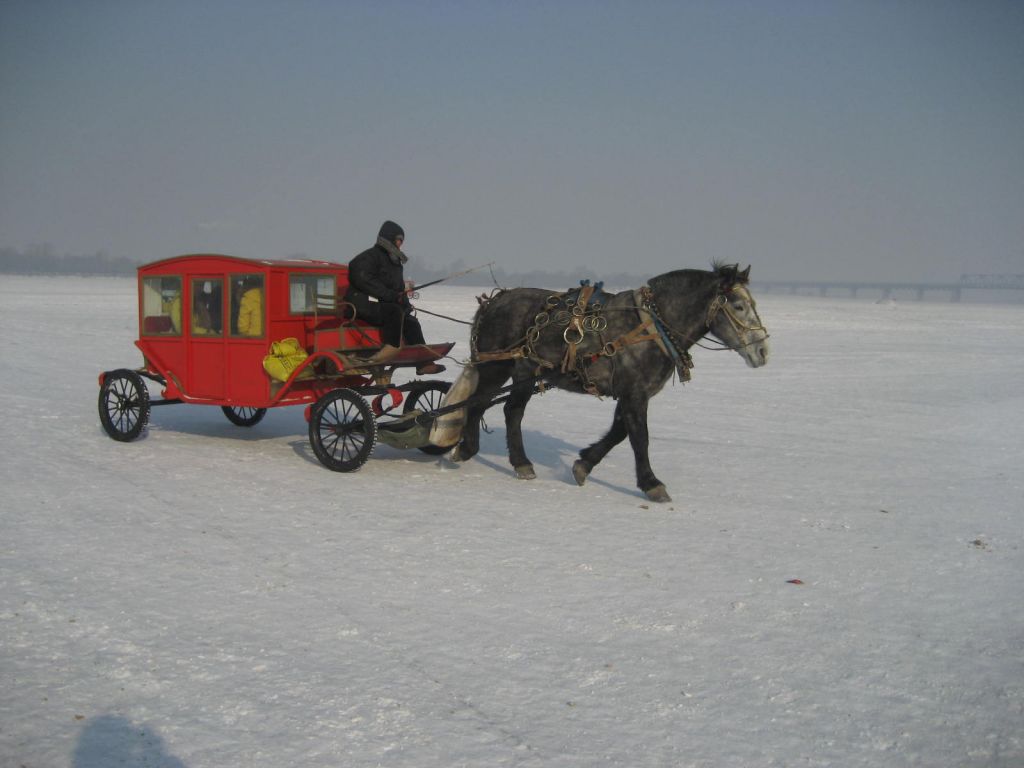 IMG_6284.JPG