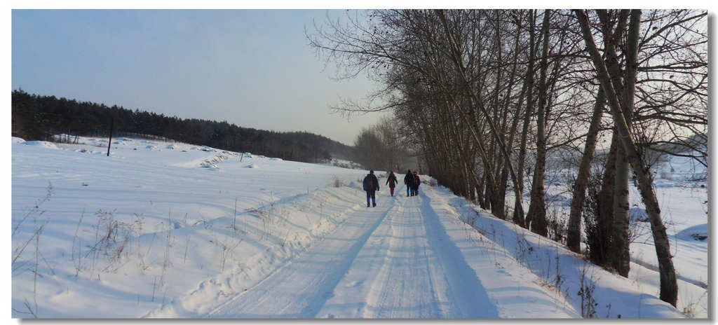 SDC13199.jpg