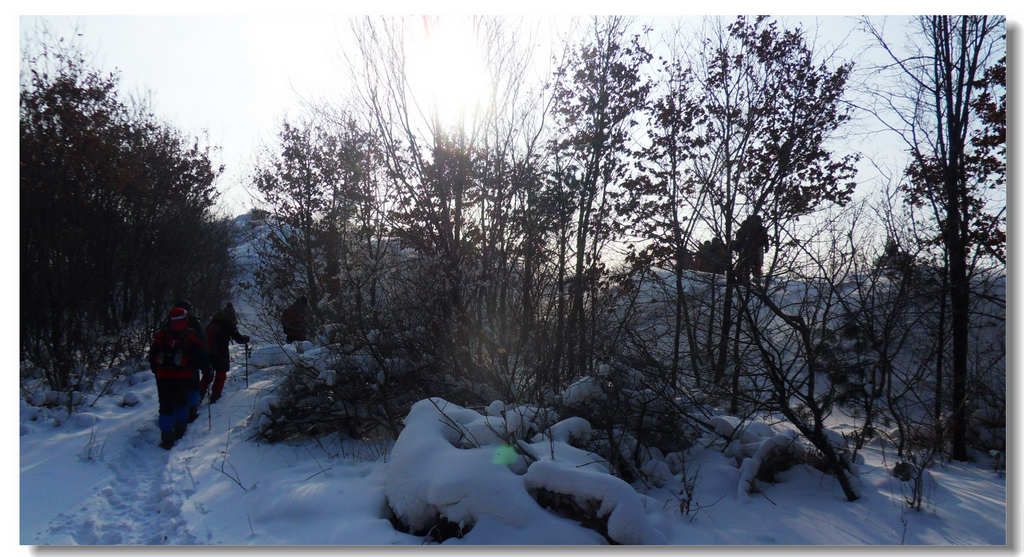 SDC13274.jpg