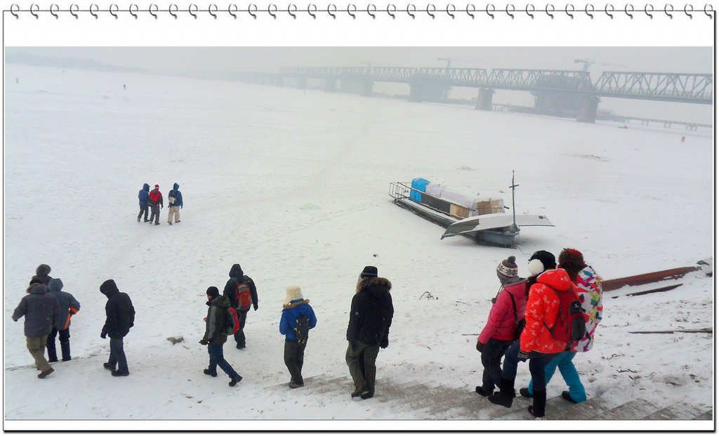 SDC13186.jpg