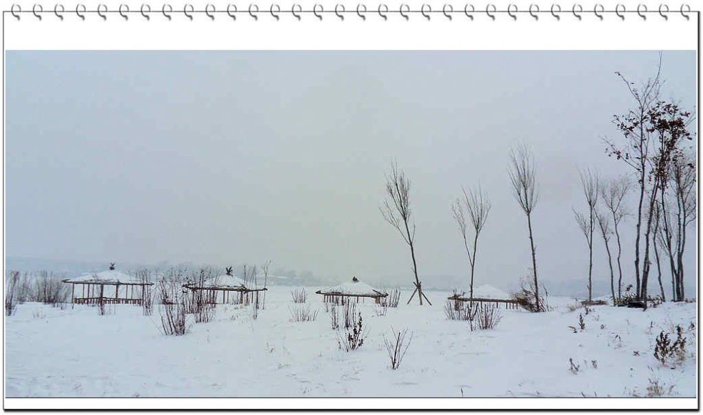 SDC13197.jpg