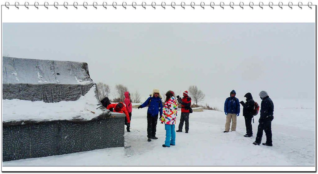 SDC13195.jpg