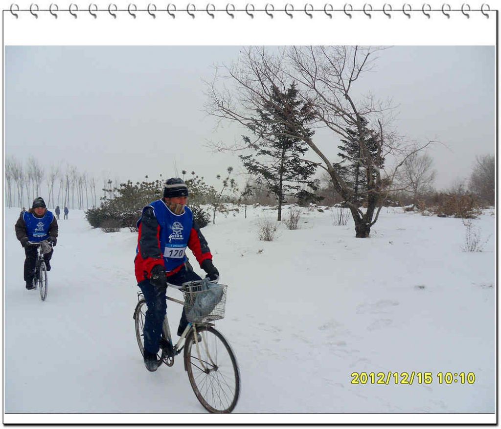 SDC13208.jpg