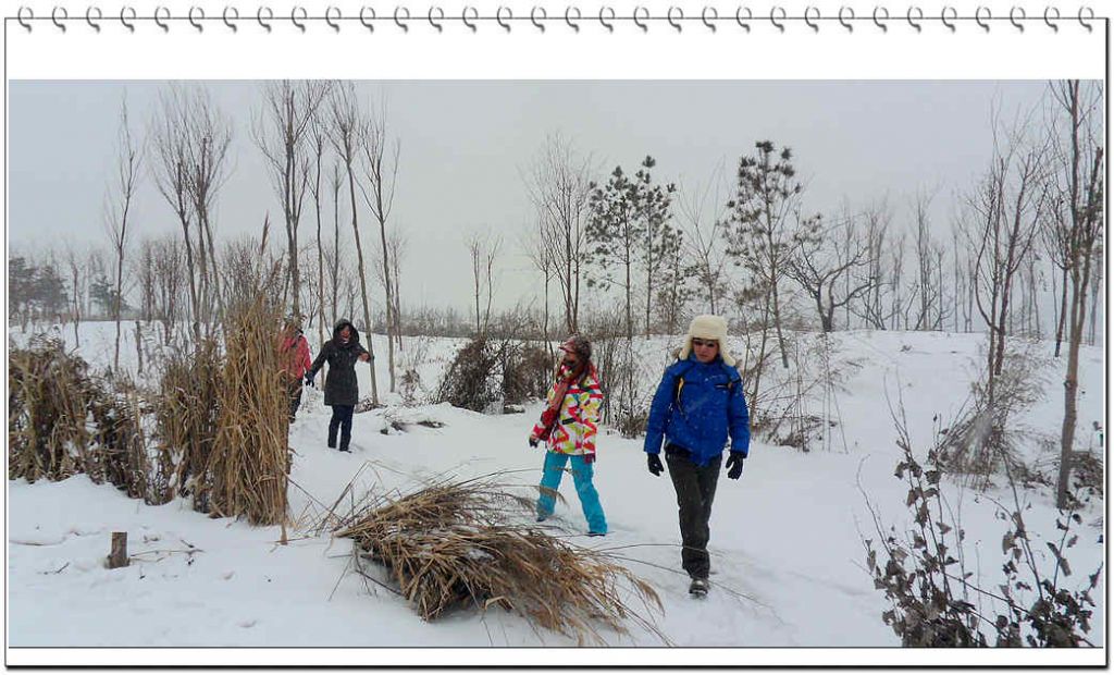 SDC13215.jpg