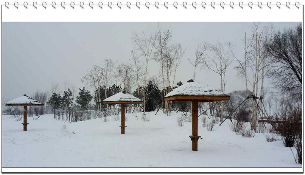 SDC13207.jpg