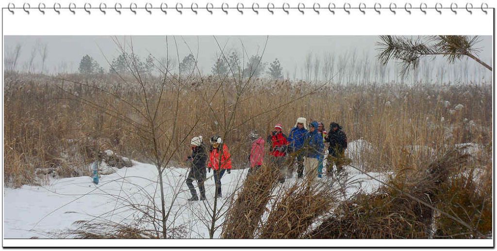 SDC13224.jpg
