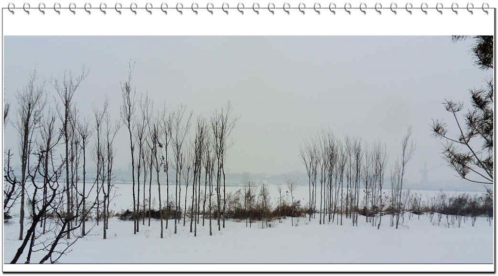 SDC13225.jpg