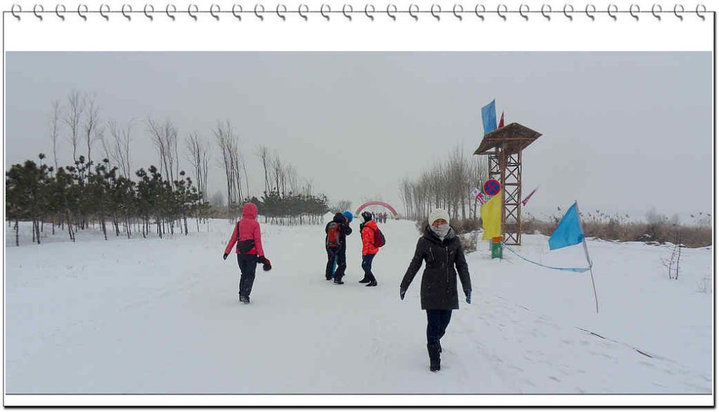 SDC13239.jpg