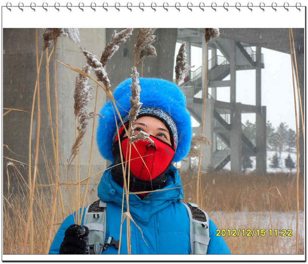 SDC13271.jpg