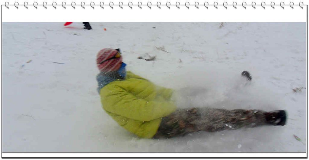 SDC13335.jpg