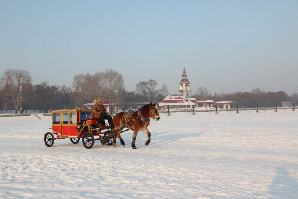 IMG_6385.jpg