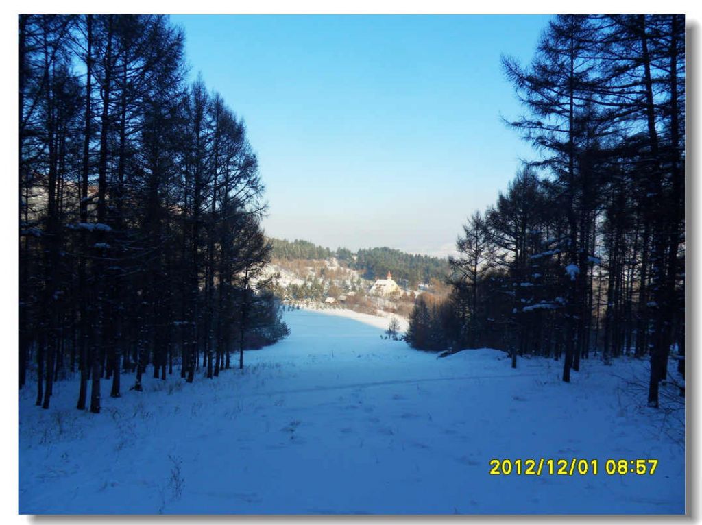 SDC13199.jpg