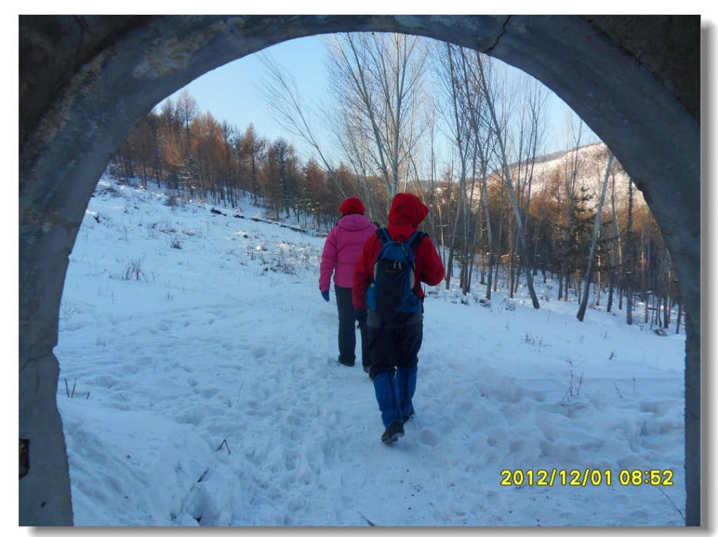 SDC13193.jpg