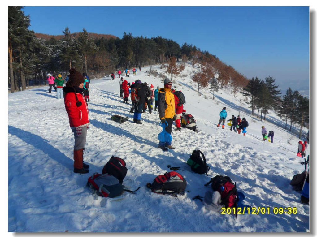 SDC13276.jpg