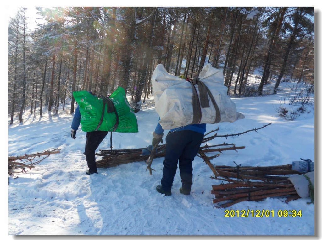 SDC13271.jpg