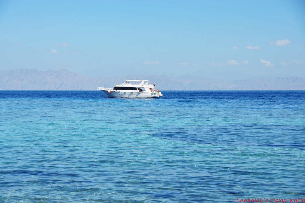 DSC_0442.jpg