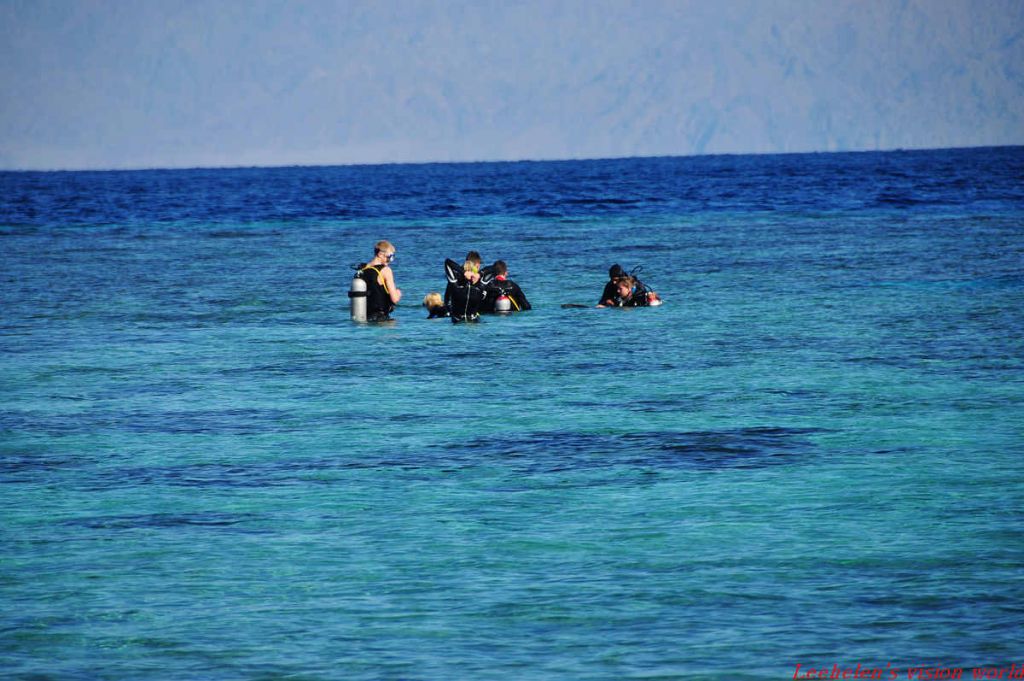 DSC_0433.jpg
