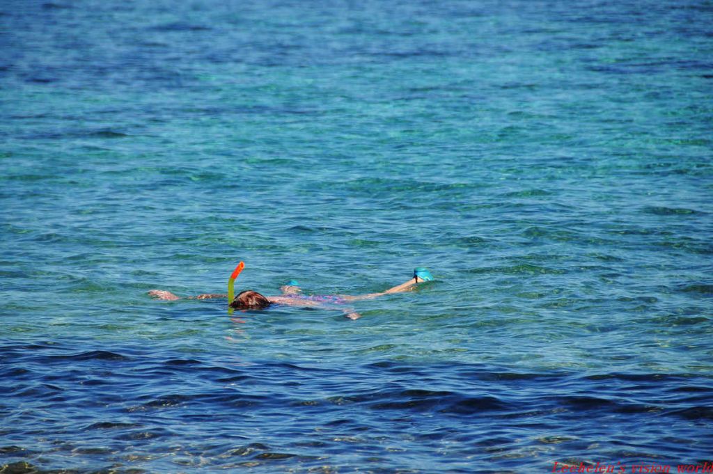 DSC_0420.jpg