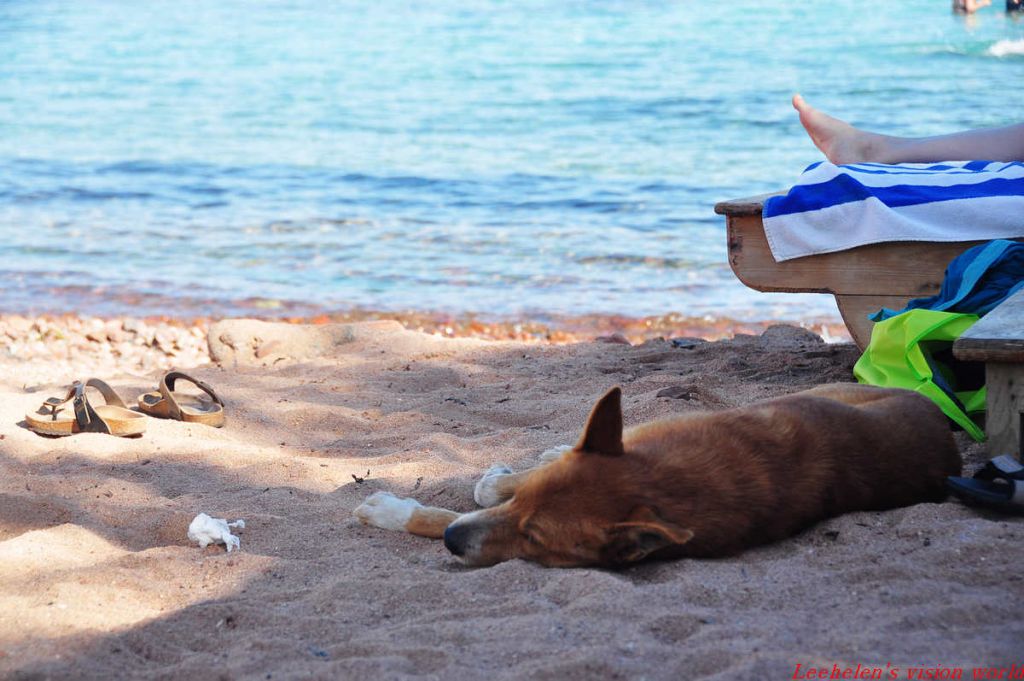 DSC_0423.jpg