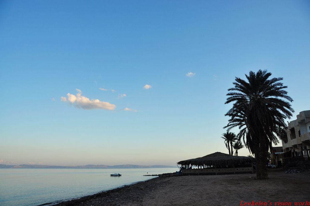 DSC_0476.jpg