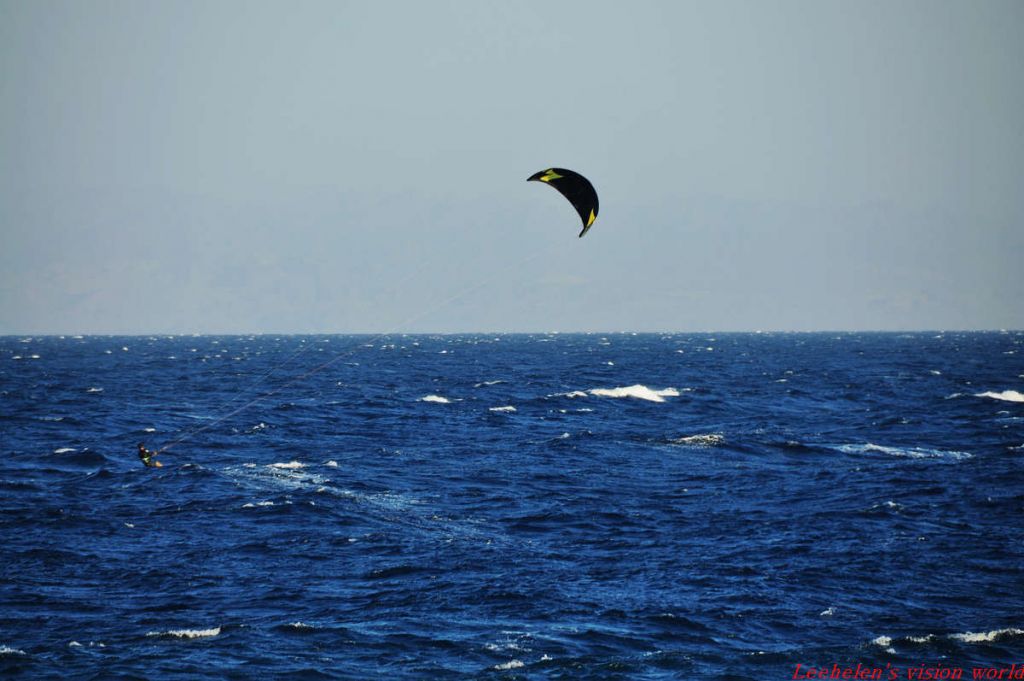 DSC_1014.jpg