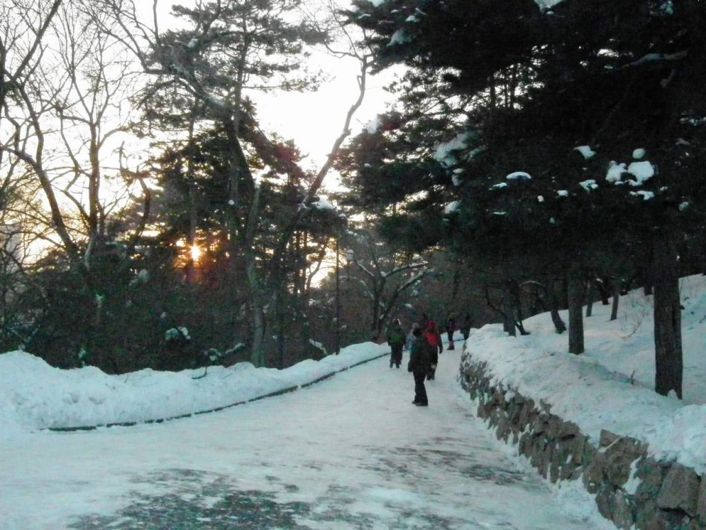 DSCF2084.JPG