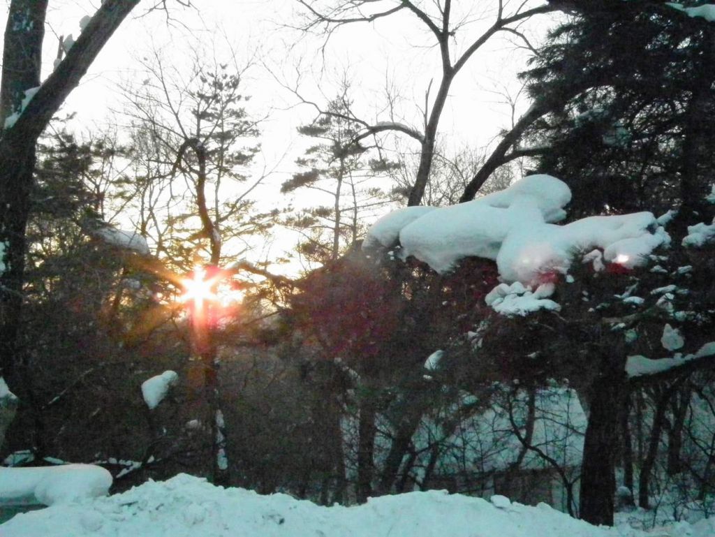 DSCF2089.JPG