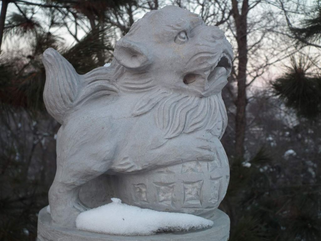 DSCF2111.JPG